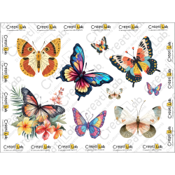 Stickers Adesivi Farfalle