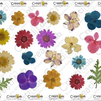 Stickers Adesivi Fiori realistici  