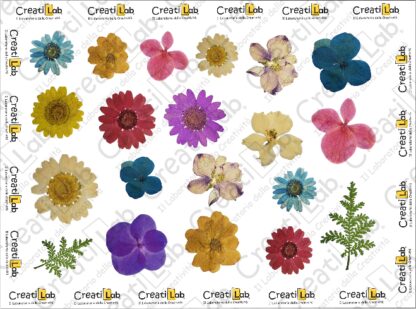 Stickers Adesivi Fiori realistici  