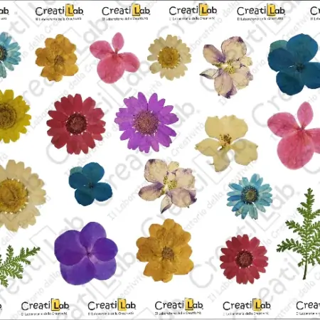 Stickers Adesivi Fiori realistici