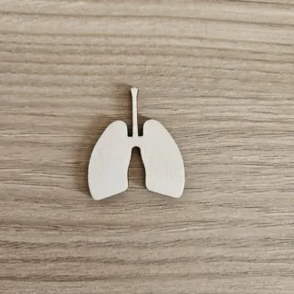 Sagoma in legno Polmone anatomico